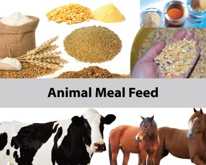 Animal Meal Feed