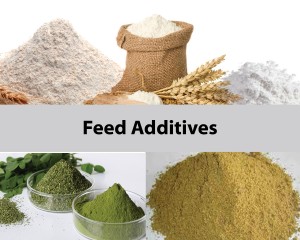 mixer for feed additives