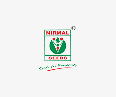 Nirmal-Seeds-logo